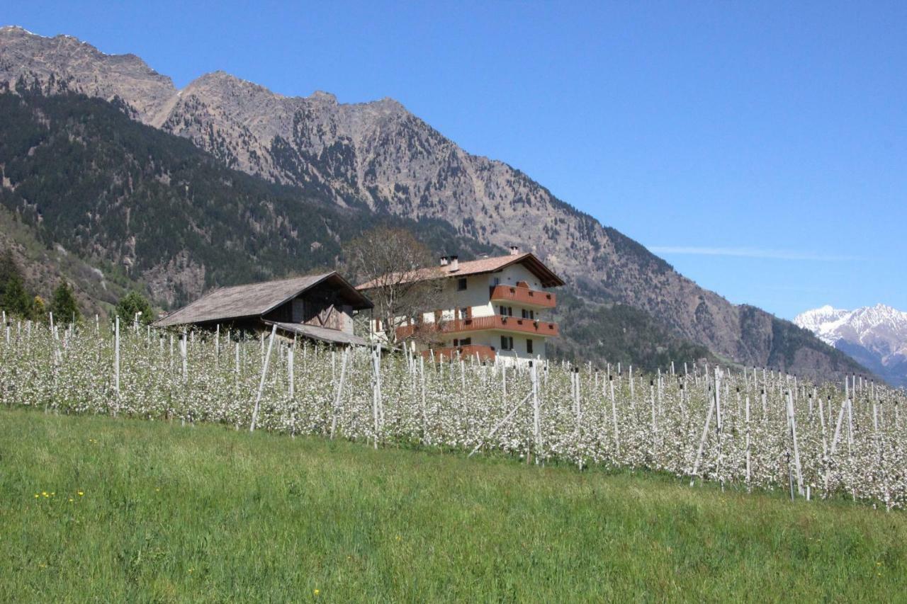 Apartamento Mareinhof - Urlaub Auf Dem Apfelbauernhof Parcines Exterior foto